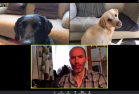 BBC sports broadcaster's video call with dogs BBC sports broadcaster's video call with dogs