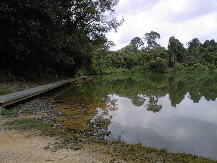 MacRitchie Reservoir