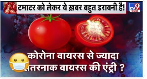 Tomato Virus Tomato Virus