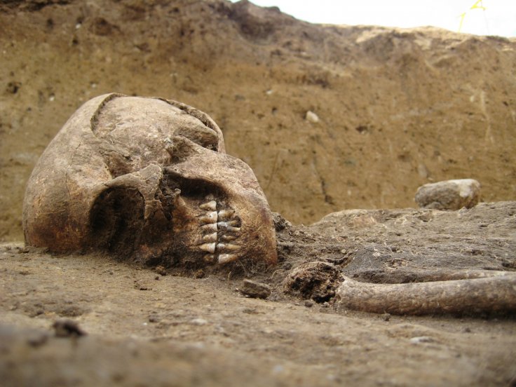 woman skeleton found in Germany woman skeleton found in Germany