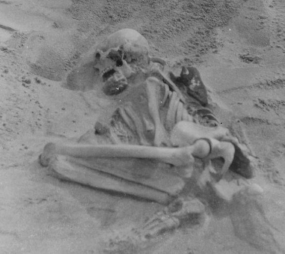  Tiree skeleton