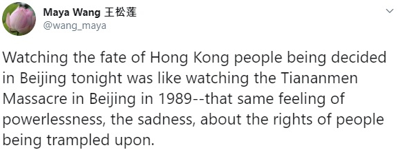 Hong Kong national security law Hong Kong national security law