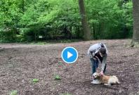 Amy Cooper Amy Cooper