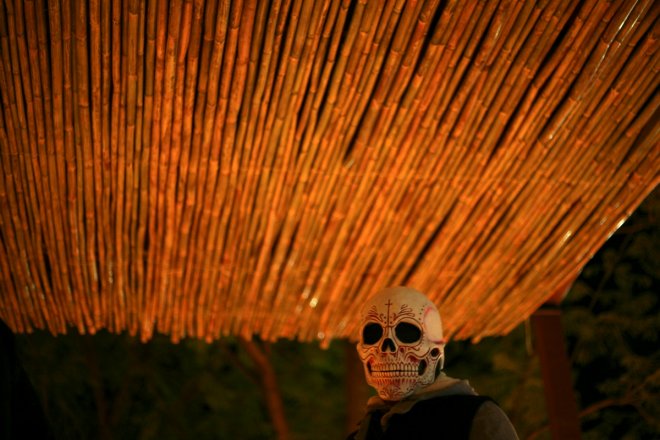 Day of the Dead: Experience these breathtaking images of the festival in Mexico (PHOTOS)
