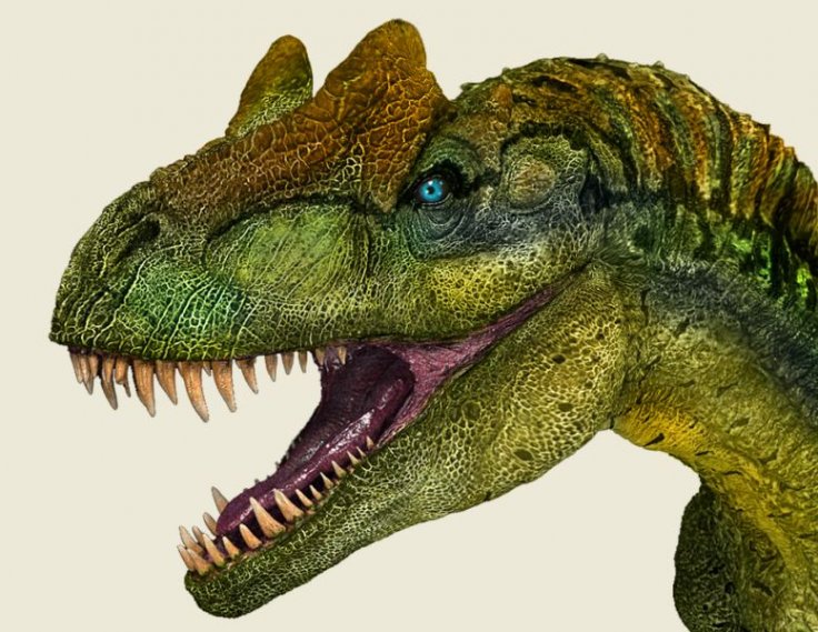 Allosaurus 