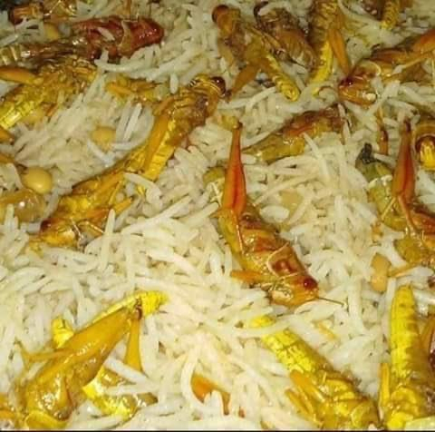 Locust biriyani