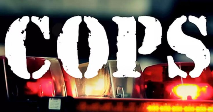 Cops poster Cops poster