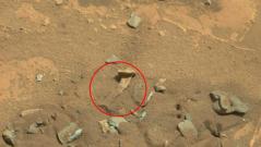 Human Bone on Mars 