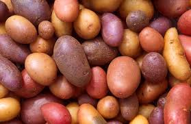 Potato Potato