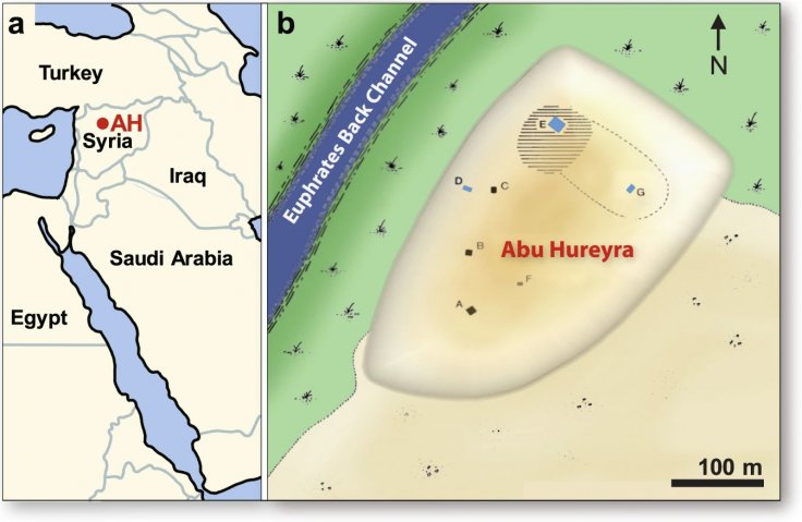 Tell Abu Hureyra 