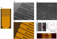 Graphene biosensors to detect allergens Graphene biosensors to detect allergens