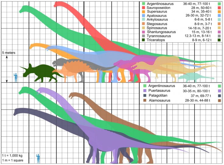 Scale of dinosaurs