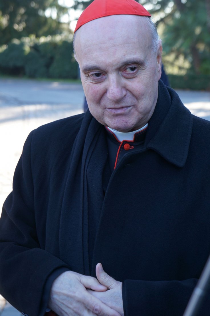 'God Not a Punisher,' Says Vatican Cardinal Suggesting COVID-19 ...