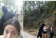 Moment hikers encountered a wild black bear Moment hikers encountered a wild black bear