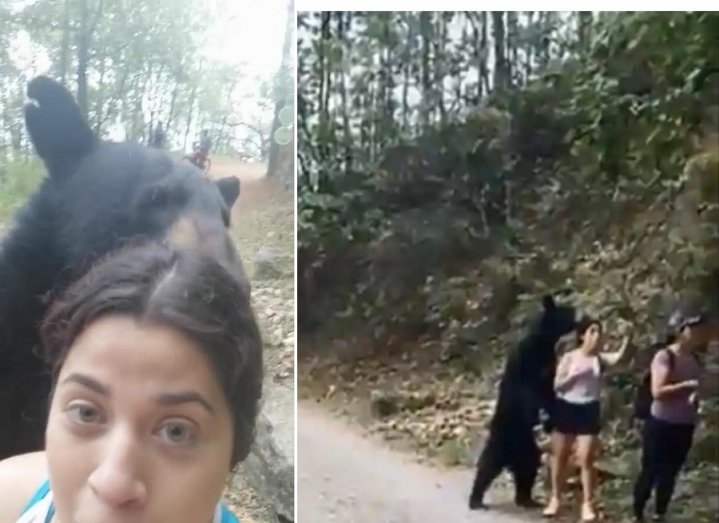 Moment hikers encountered a wild black bear