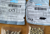 Seed packets from China Seed packets from China