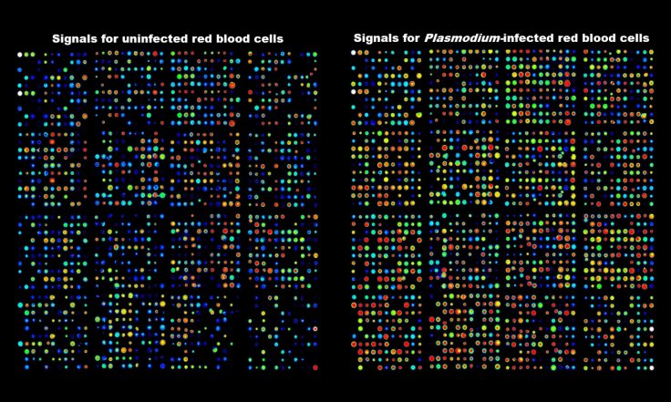 Antibody array data Antibody array data