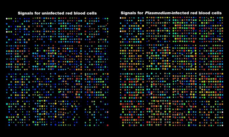 Antibody array data