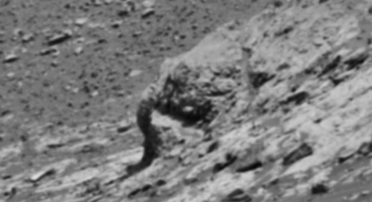 elephant head on mars