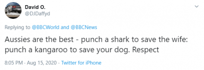 Shark attack Shark attack