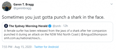 Shark attack Shark attack