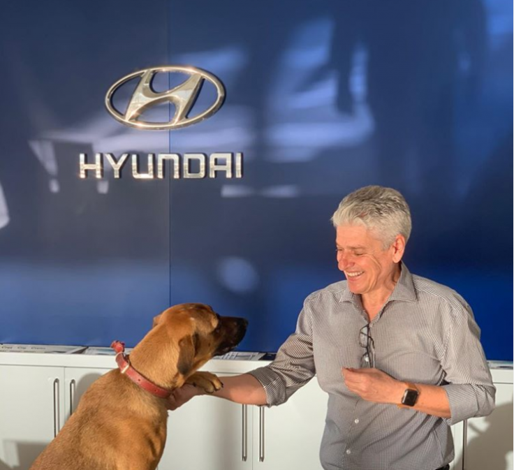 Dog Salesman Dog Salesman