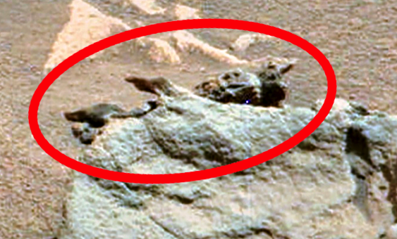 Alien fossil on Mars