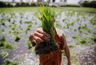 Picture for representation Picture for representation