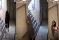 CCTV break in CCTV break in