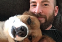 Chris Evan trends on Twitter Chris Evan trends on Twitter