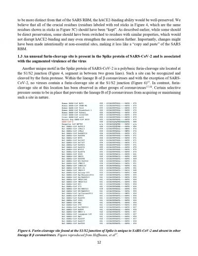 Yans Report on Cronavirus