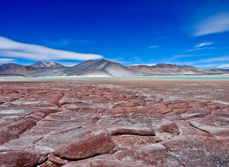 Piedras Rojas, Atacama Desert, Chile