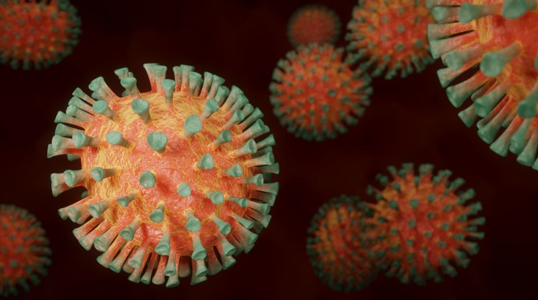 Coronavirus Developed Naturally, Moved From Animal to Humans: US Study