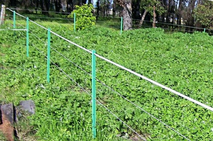 Electric fence Electric fence