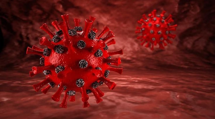 Novel Coronavirus