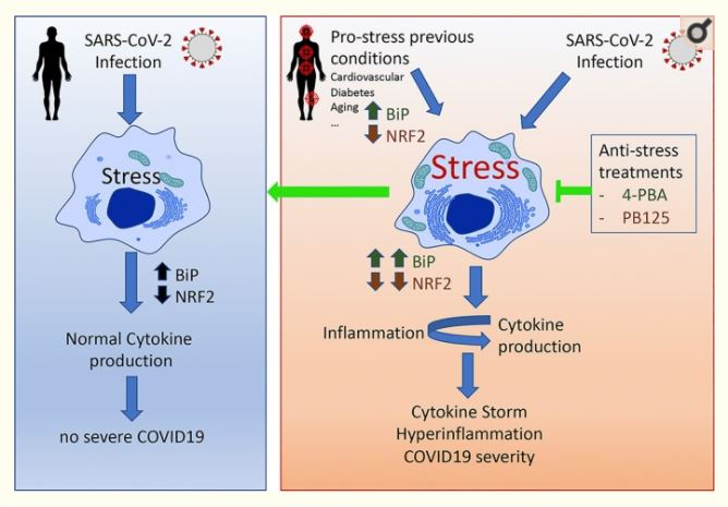 Cytokine Storm