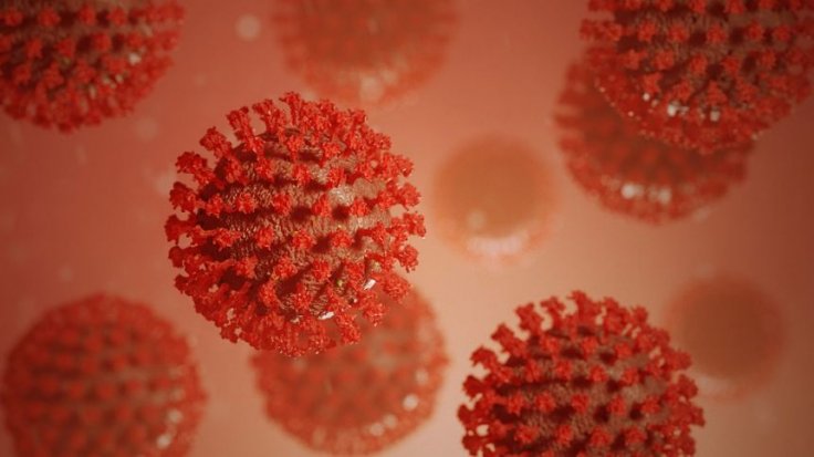 Novel Coronavirus 