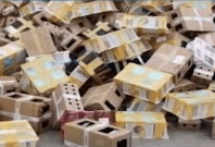 Animals transported in boxes Animals transported in boxes