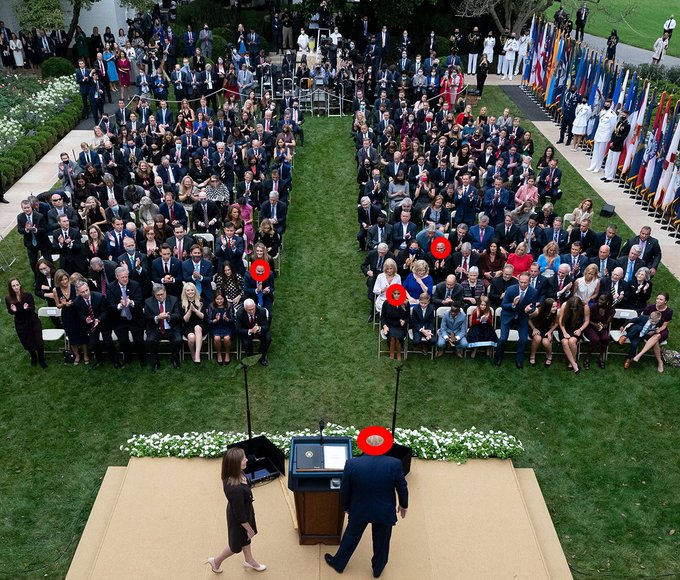 'No common sense': Fury over picture of White House event