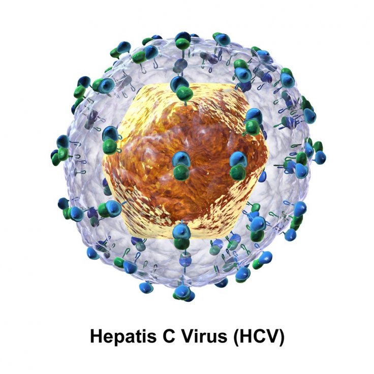 HCV HCV