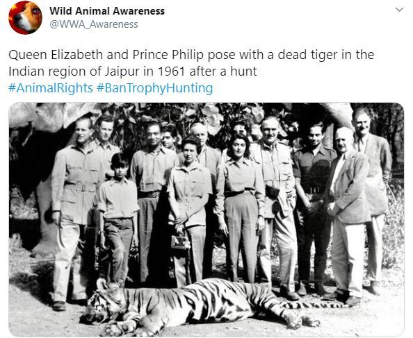 Animal Cruelty Animal Cruelty