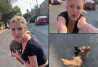woman throws dog woman throws dog