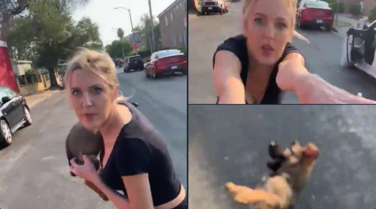 woman throws dog woman throws dog