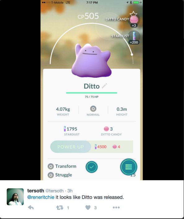 Ditto Pokemon