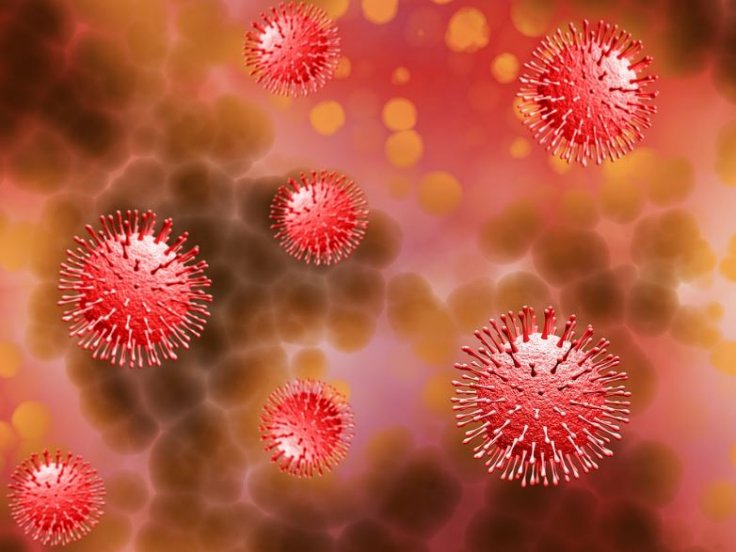 Novel Coronavirus