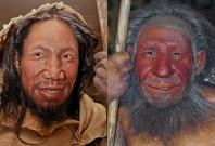 Homo sapiens and neanderthals
