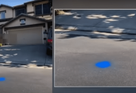 Blue Dots Outside Homes in California