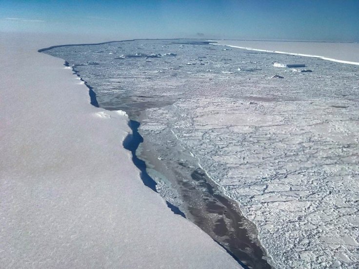 Larsen C