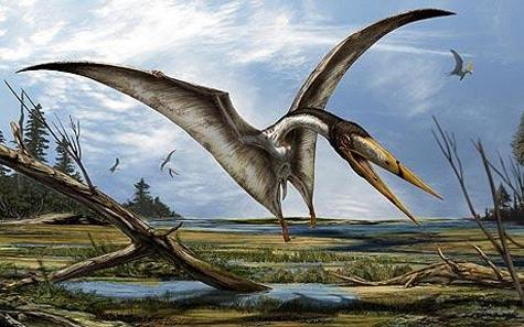 Pterosaur 