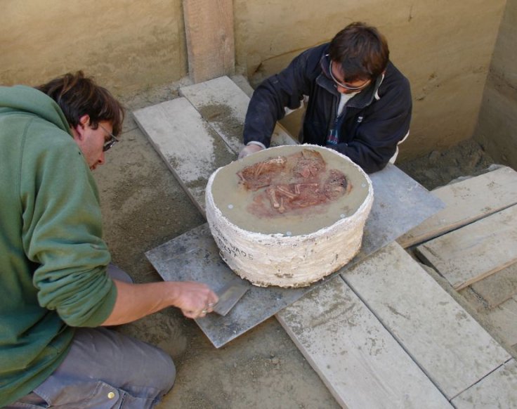 Excavation of the double burials